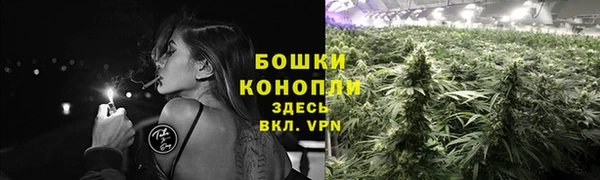 стафф Михайловка