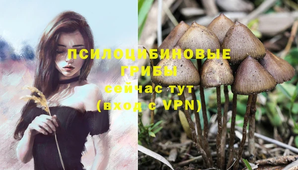 альфа пвп VHQ Медвежьегорск