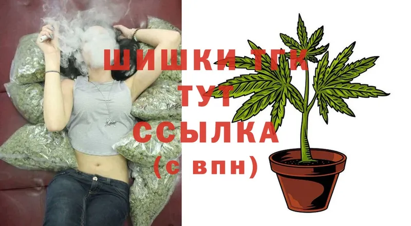 Бошки Шишки THC 21%  Каменногорск 